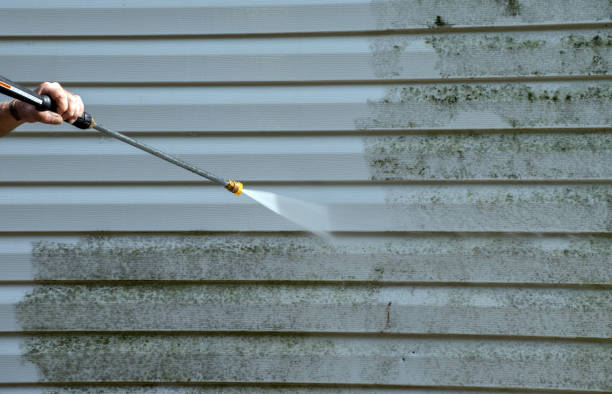 Animal Enclosure Cleaning in Lindsay, OK